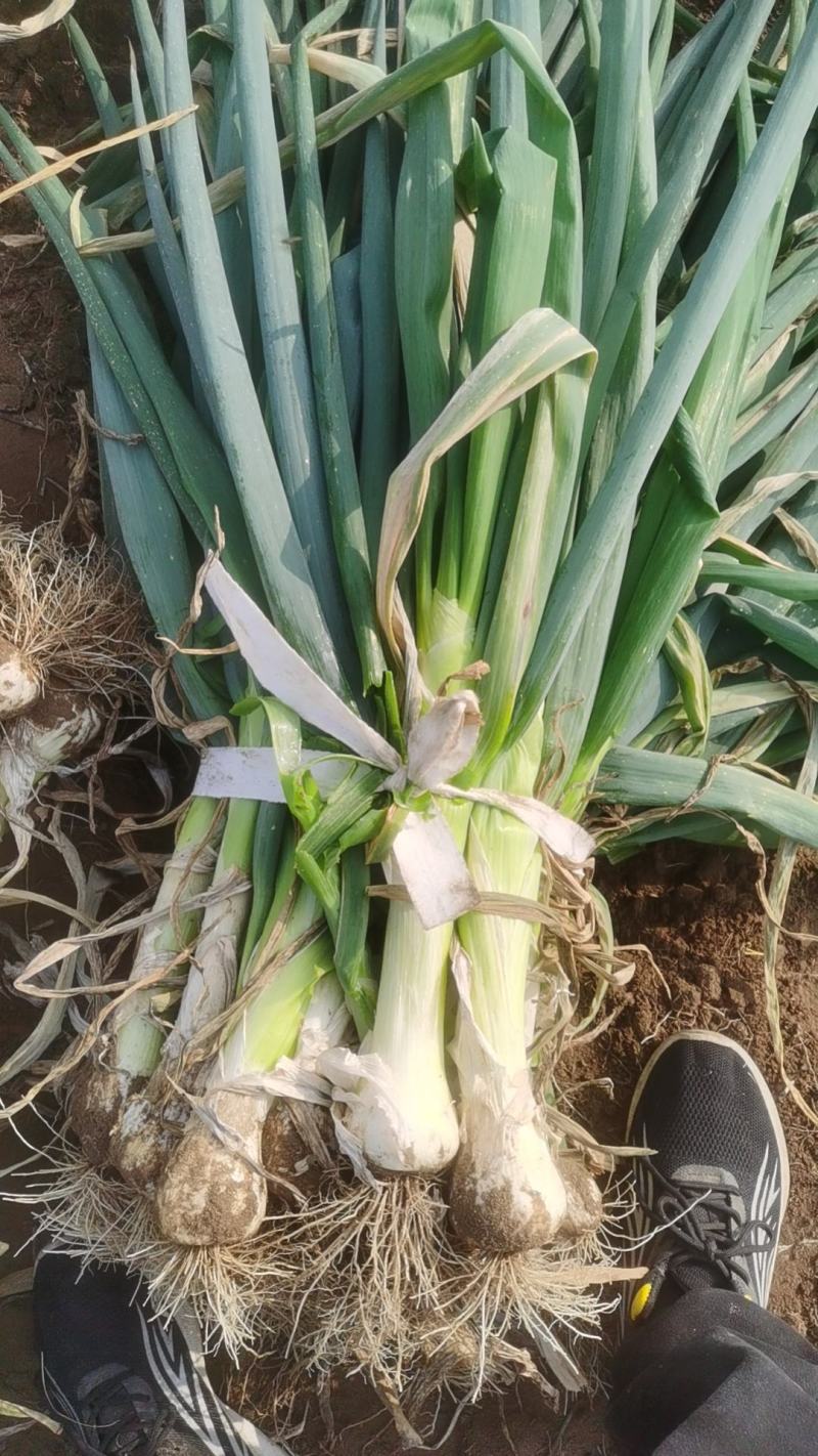 盒菜是什么菜？